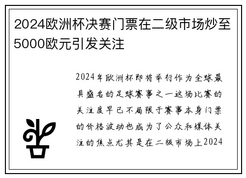 2024欧洲杯决赛门票在二级市场炒至5000欧元引发关注